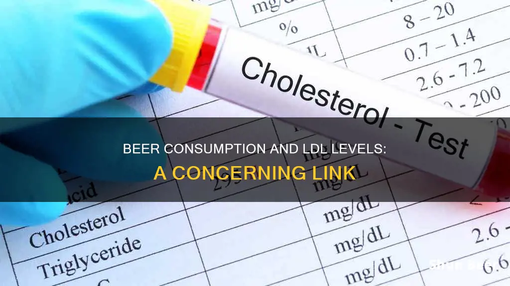 can drinking 6 beers increase your ldl levels