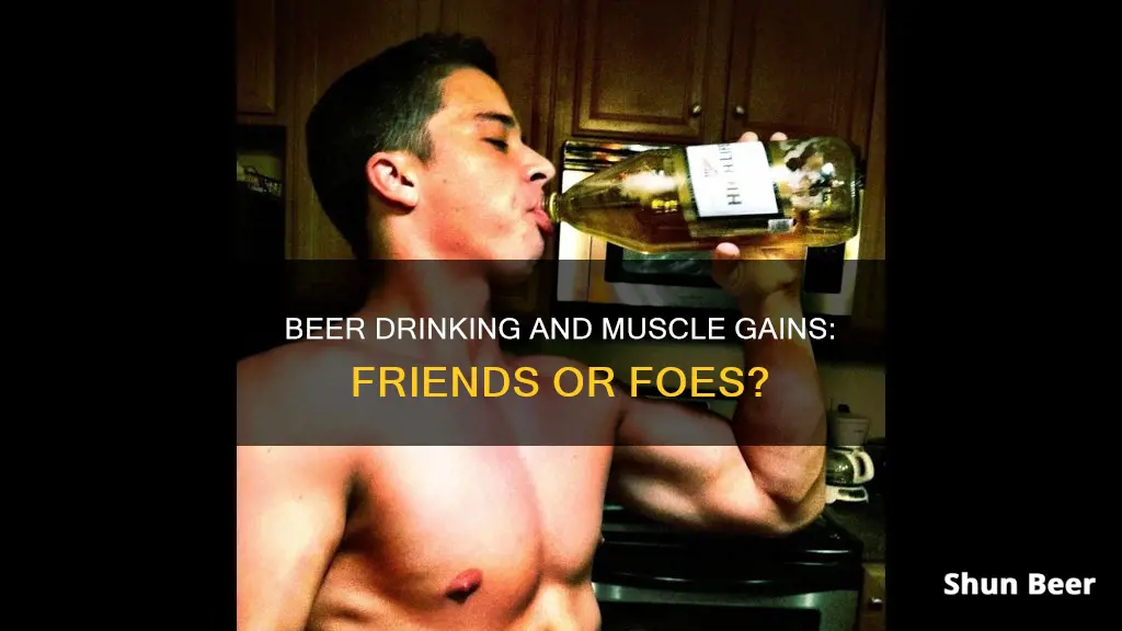 can drinking a few beers a week ruin gains