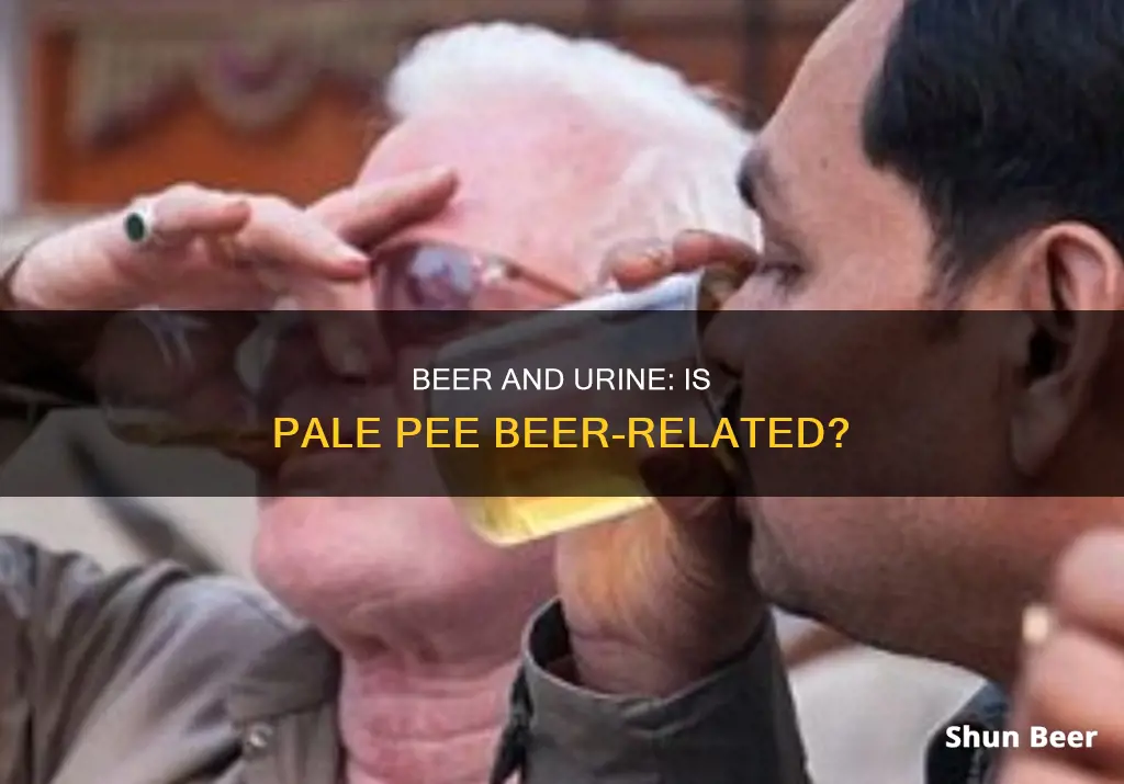 can drinking a lot of beer cause pale urine