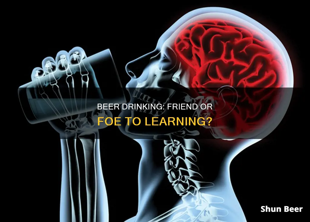 can drinking beer affect learning