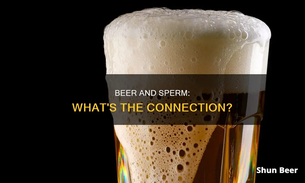 can drinking beer affect sperm