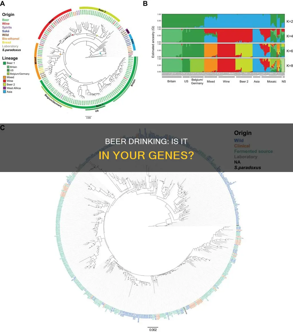 can drinking beer be genetic