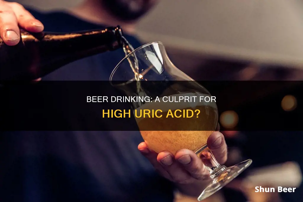 can drinking beer be the reason for high uric acid