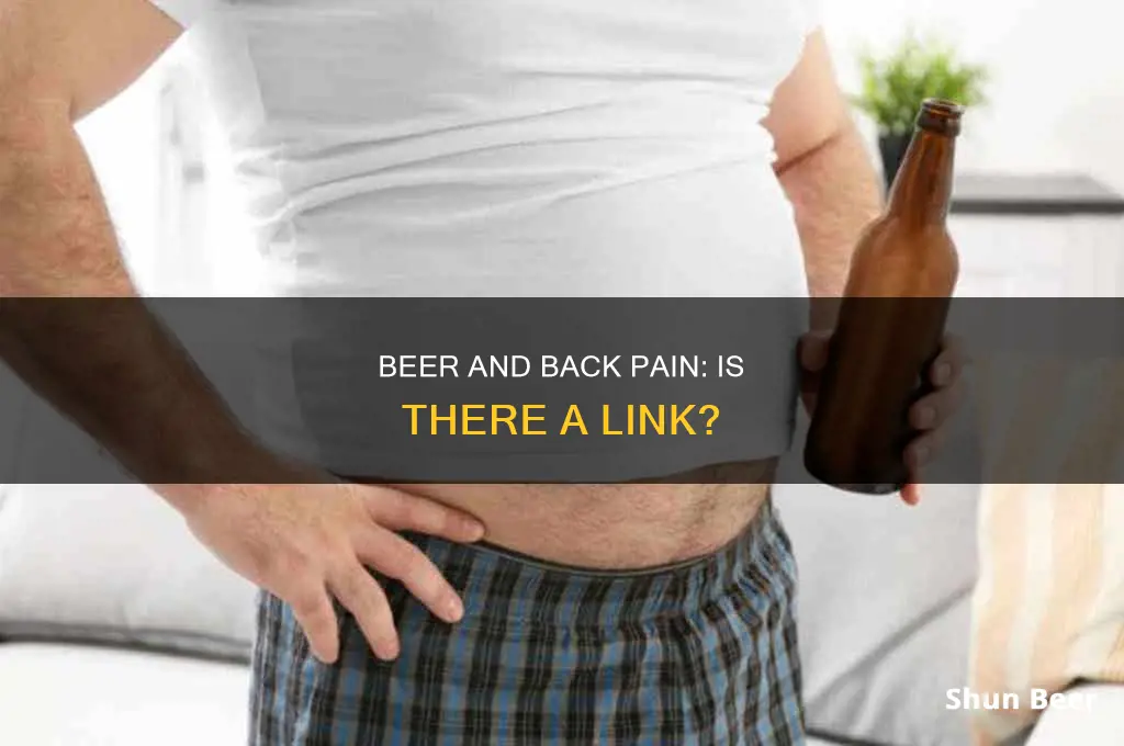 can drinking beer cause back pain