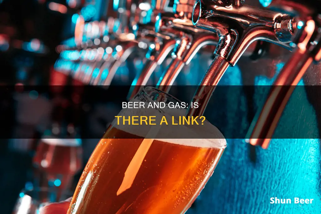 can drinking beer cause gas