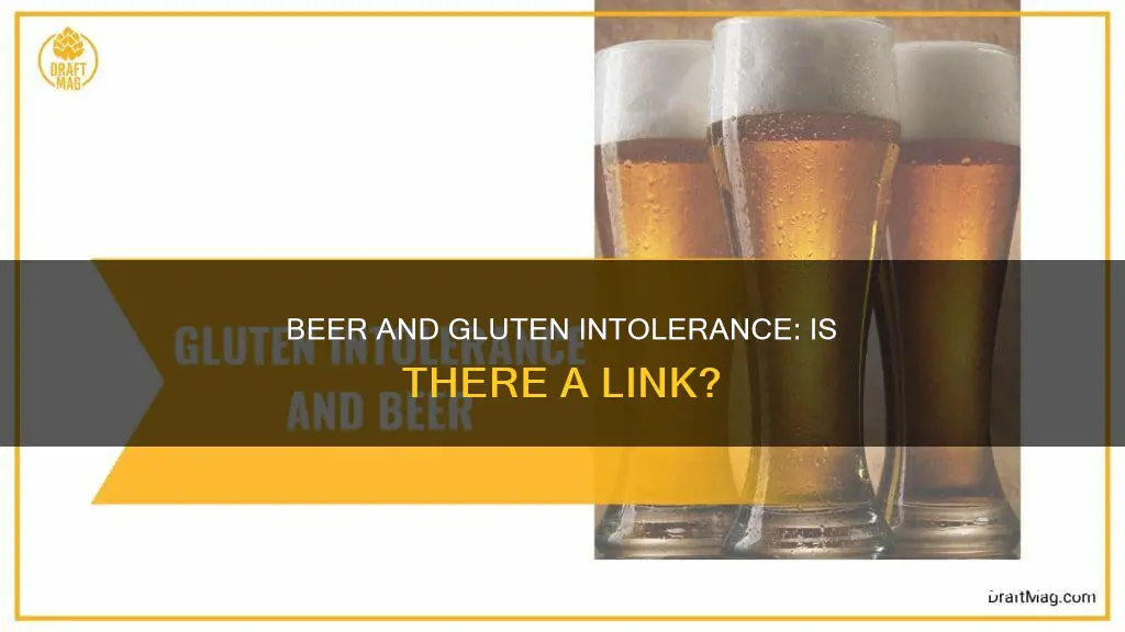 can drinking beer cause gluten intolerance