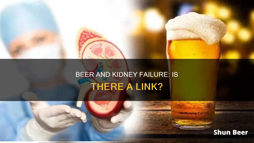 can drinking beer cause kidney failure