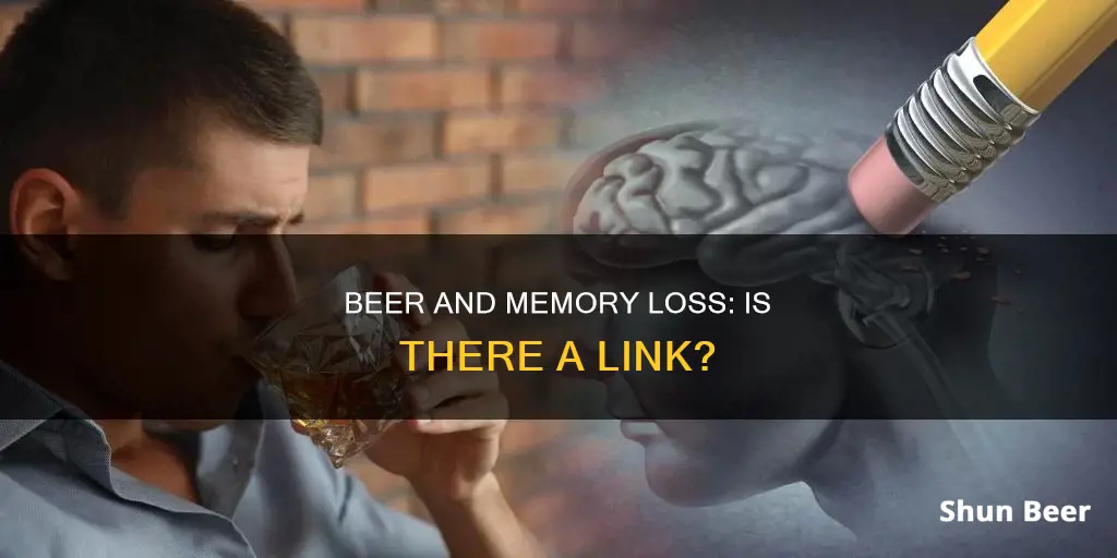 can drinking beer cause memory loss