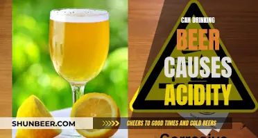 Beer and Acidity: Is There a Link?