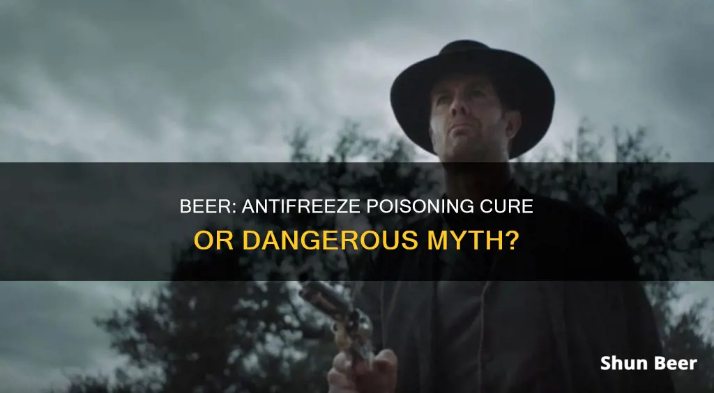 can drinking beer cure antifreeze poisoning