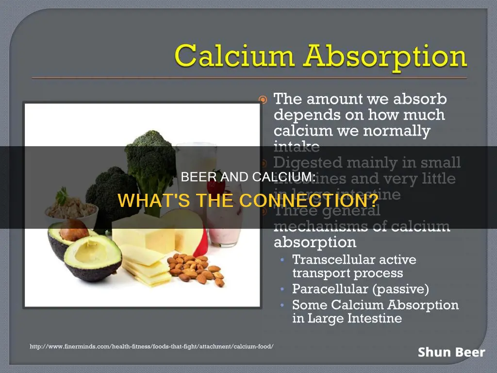 can drinking beer do anything to your calcium