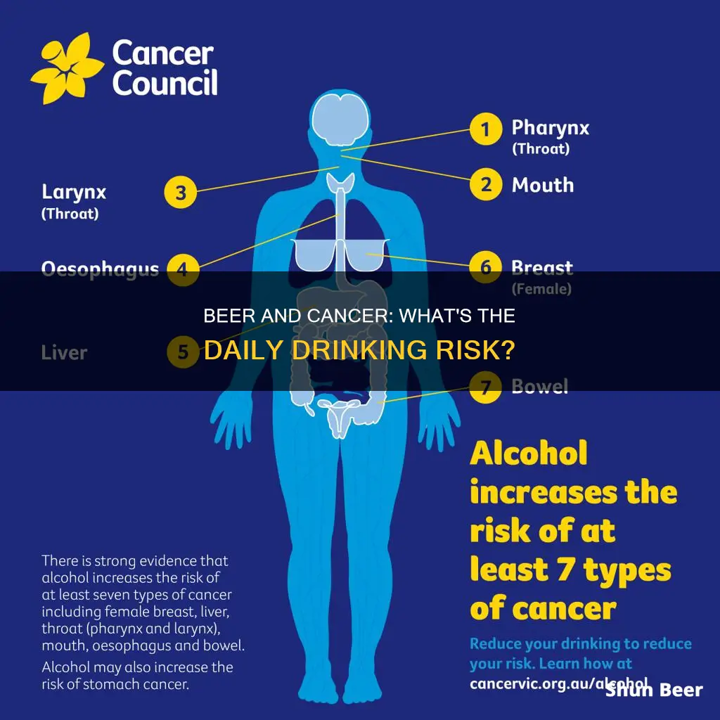 can drinking beer everyday cause cancer