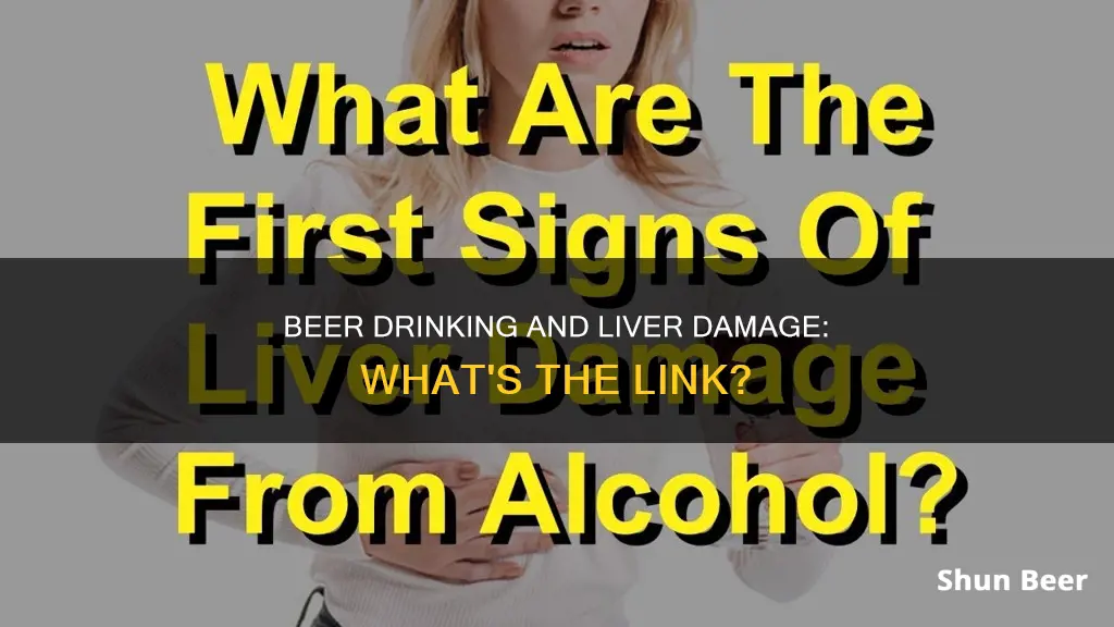 can drinking beer everyday cause liver damage