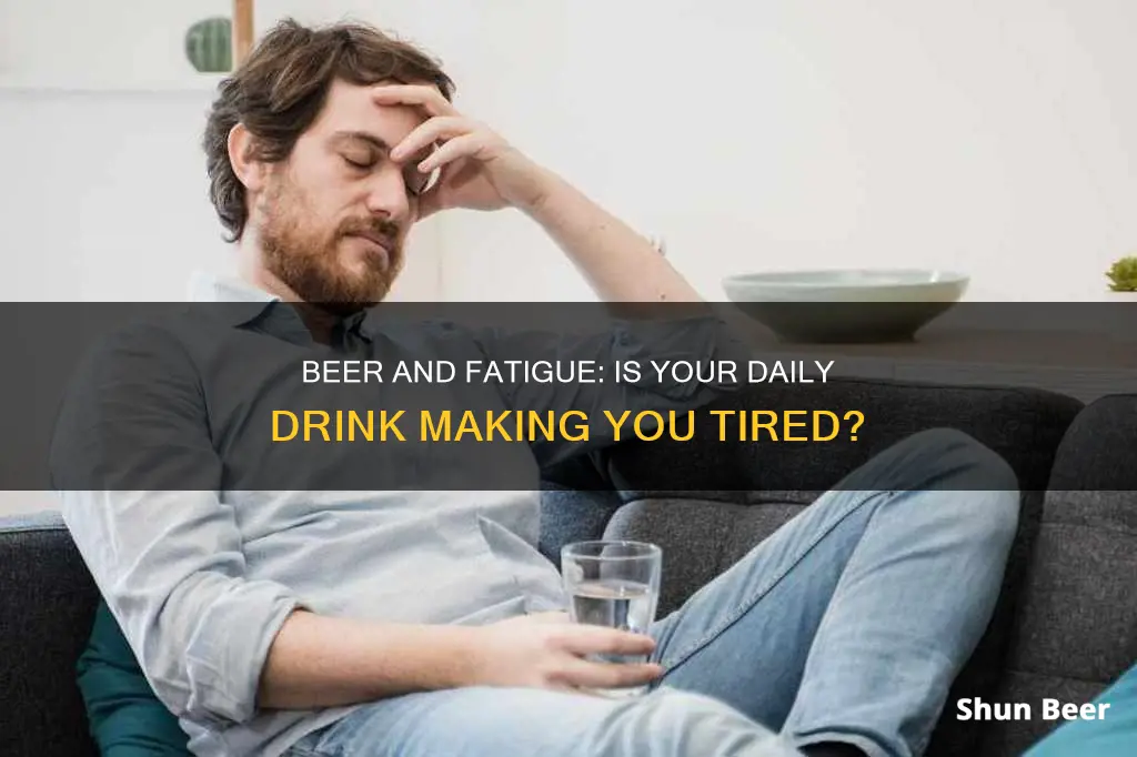 can drinking beer everyday make you tired