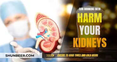 Beer and Kidney Health: What's the Harm?