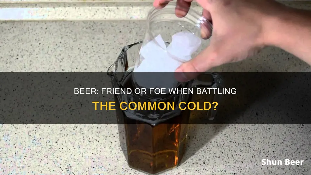 can drinking beer help a cold