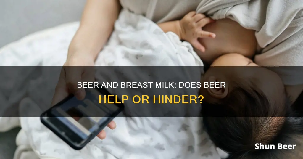 can drinking beer help breast milk production