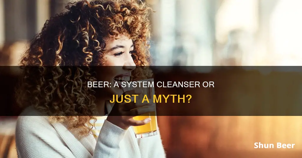 can drinking beer help clean your system