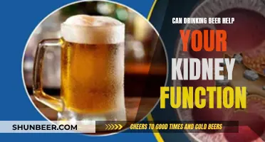 Beer and Kidney Function: A Healthy Relationship?