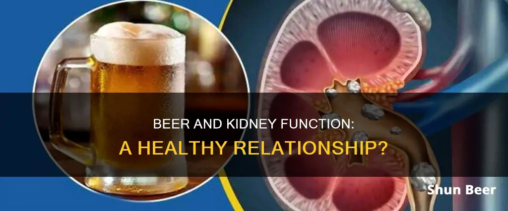 can drinking beer help your kidney function