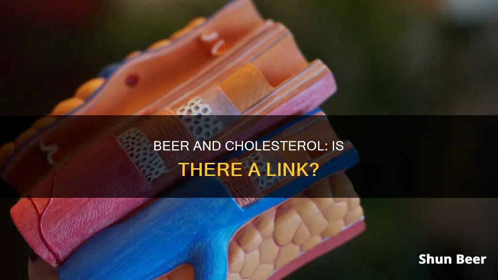 can drinking beer increase cholesterol