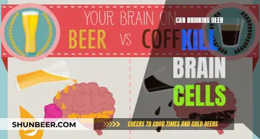 Beer Drinking: Does It Harm Brain Cells?