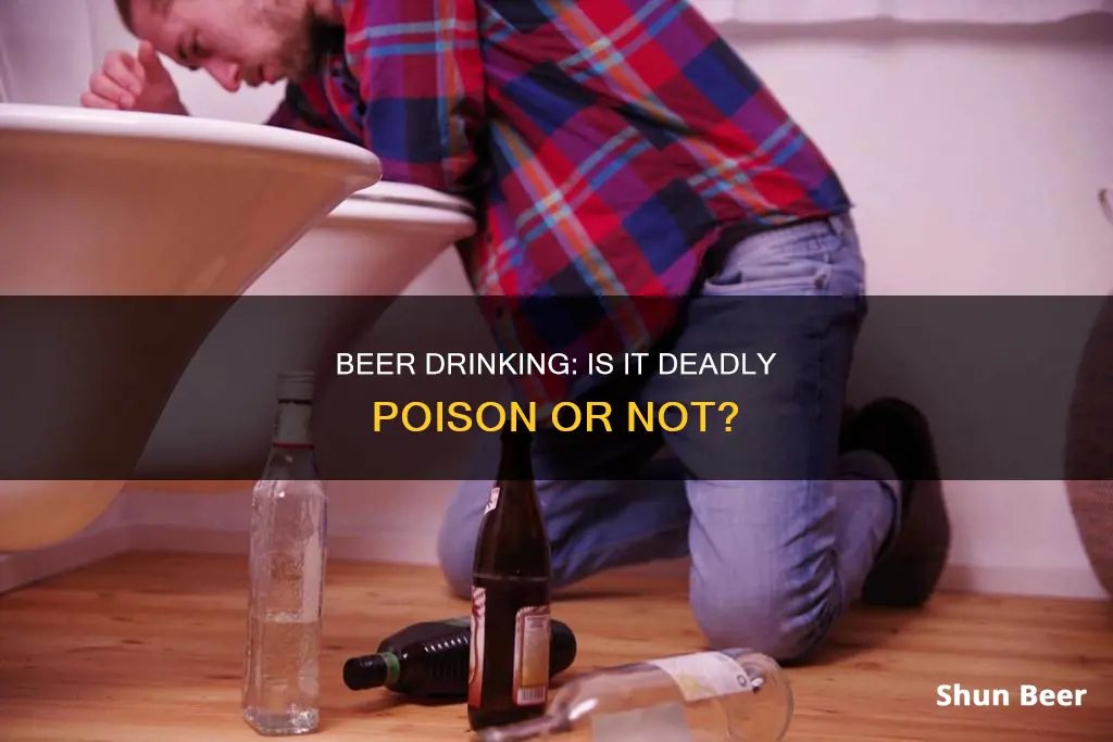 can drinking beer kill you