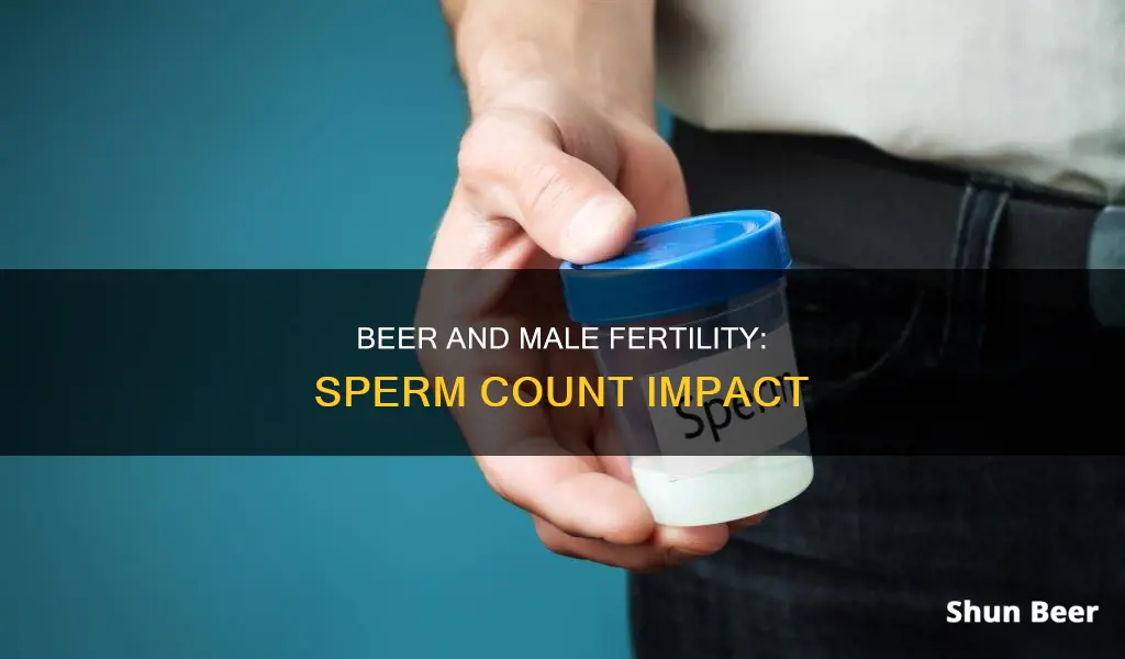 can drinking beer lower your sperm count