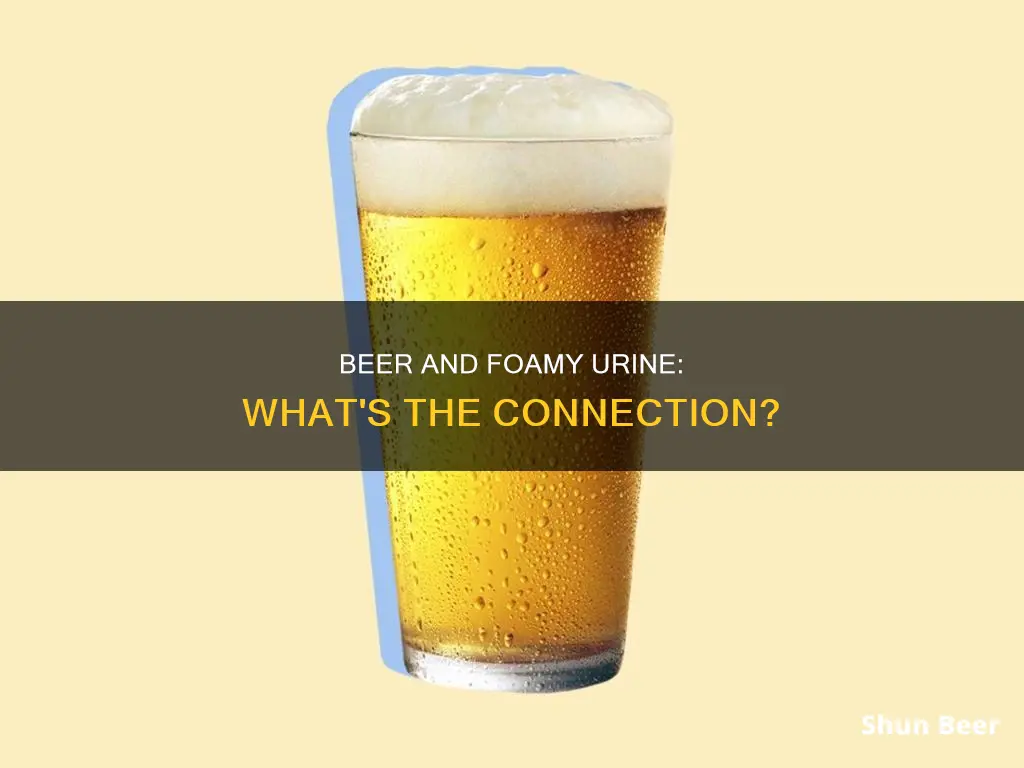 can drinking beer make urine foamy