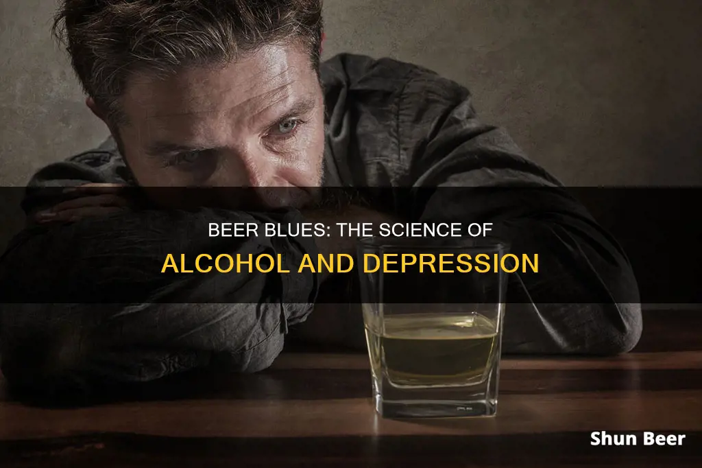 can drinking beer make you depressed the next day