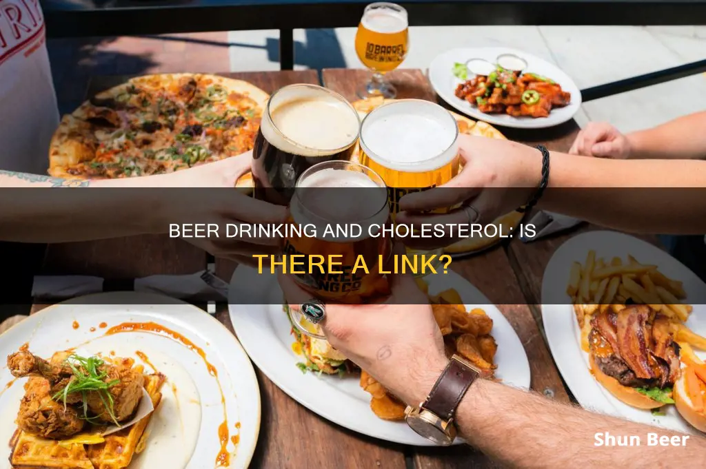 can drinking beer raise your cholesterol