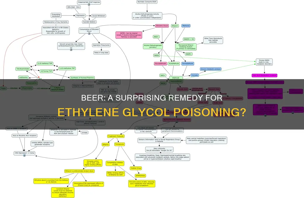 can drinking beer reverse ethylene glycol poisoning