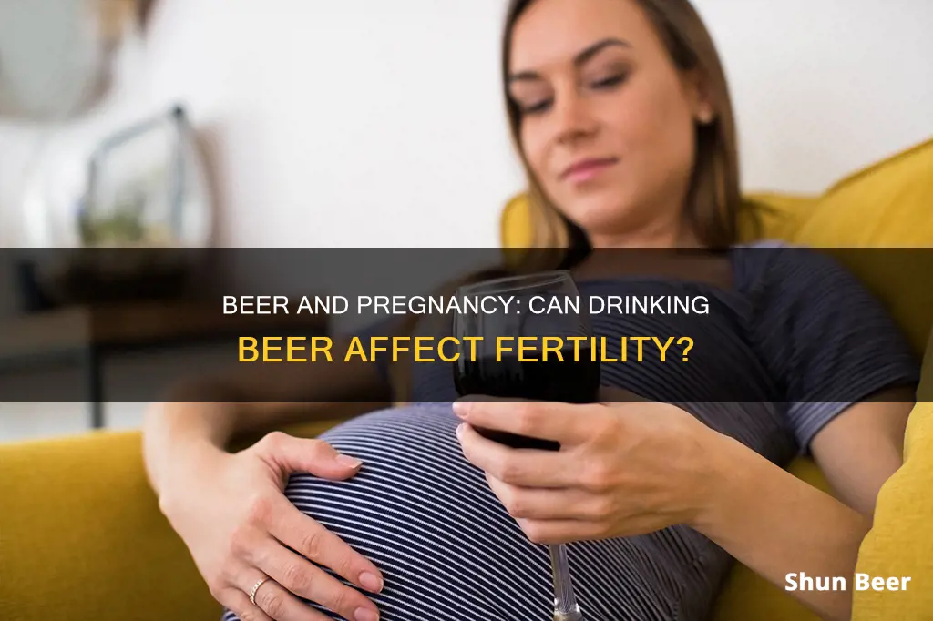 can drinking beer stop you from getting pregnant