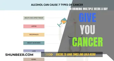 Beer and Cancer: Is There a Link?