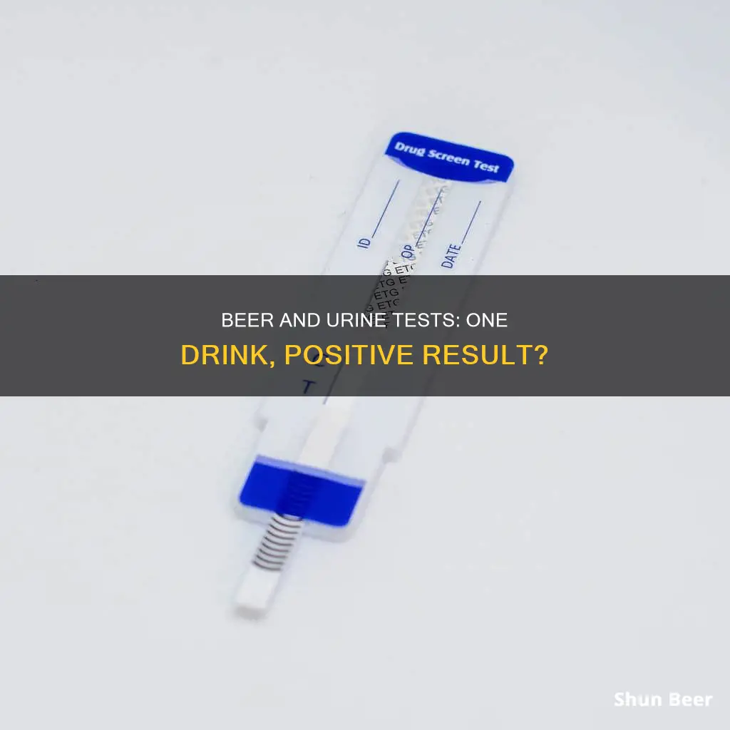 can drinking one beer cause urine test positive