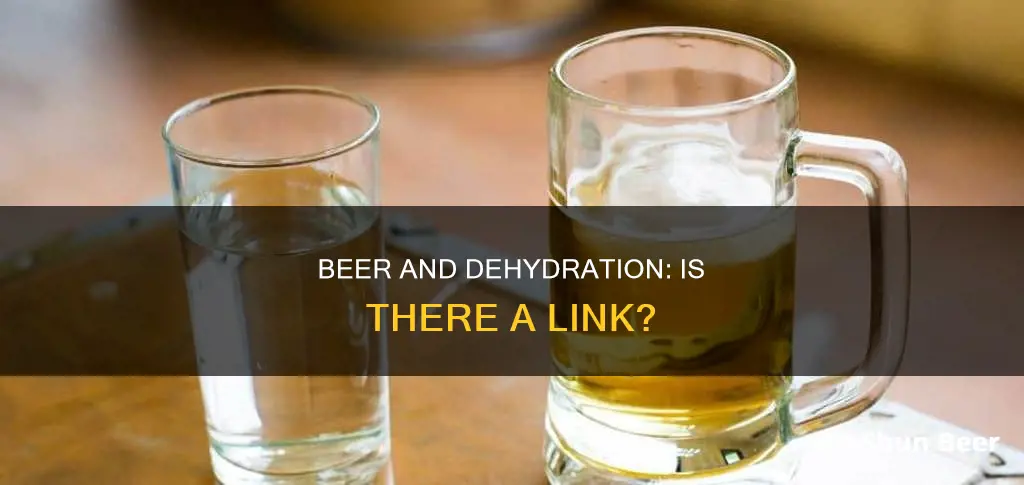 can drinking too much beer cause dehydration