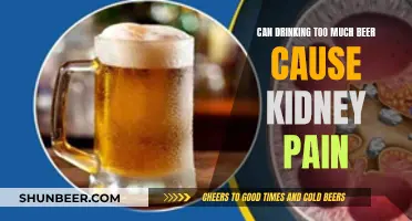 Beer Overload: Kidney Pain and the Brewing Risks