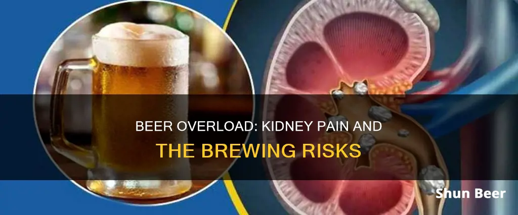 can drinking too much beer cause kidney pain