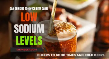 Beer Overload: Low Sodium Levels?