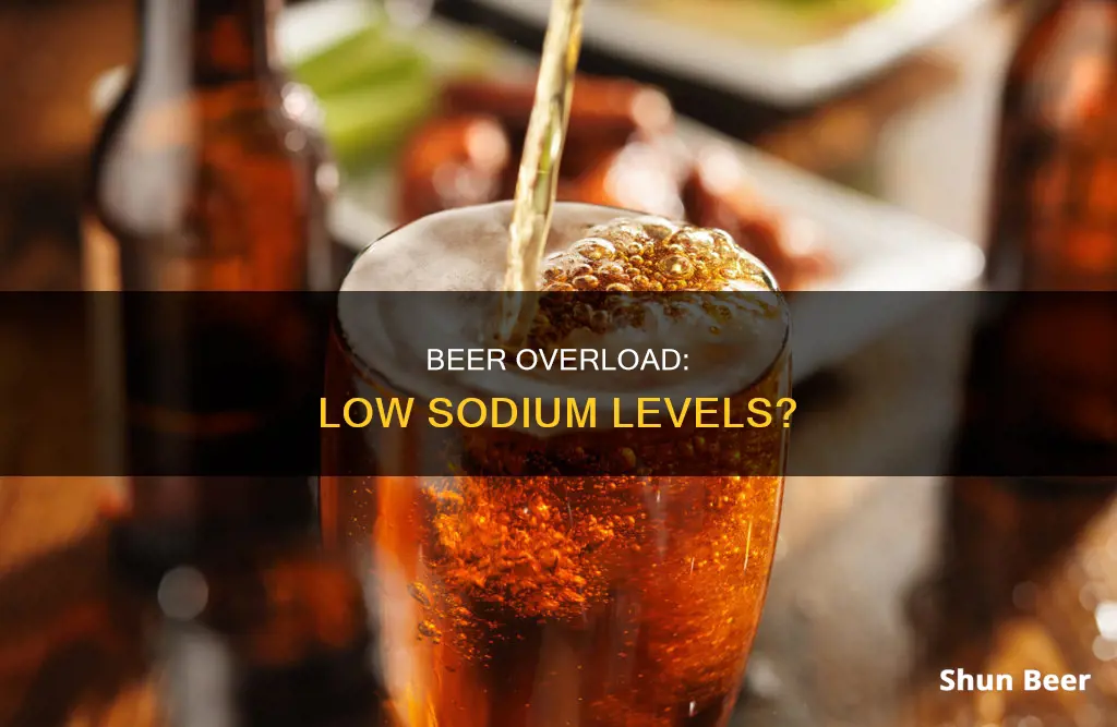 can drinking too much beer cause low sodium levels