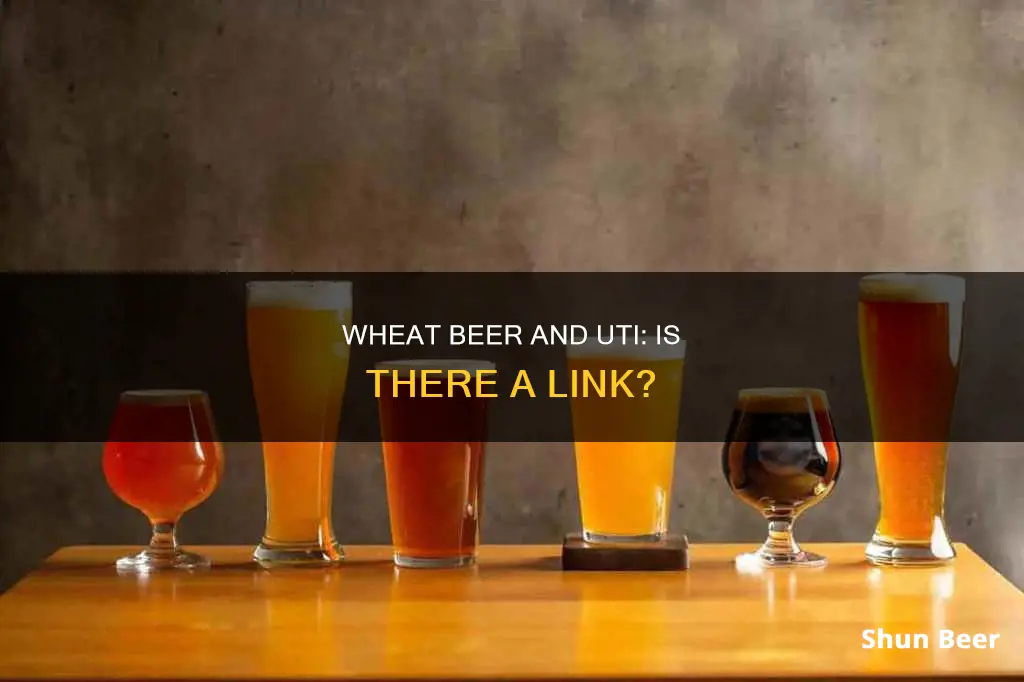 can drinking wheat beer give uti