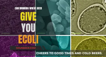 Wheat Beer and E. coli: A Dangerous Mix?