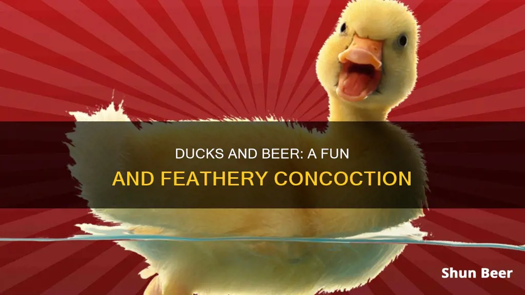 can ducks drink beer