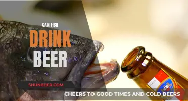 Fish and Beer: A Curious Friendship