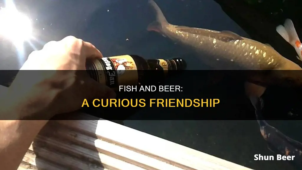 can fish drink beer