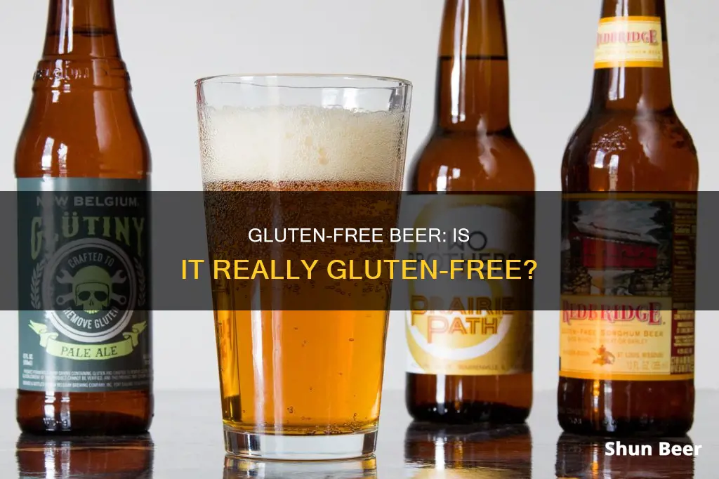 can gluten free drink beer