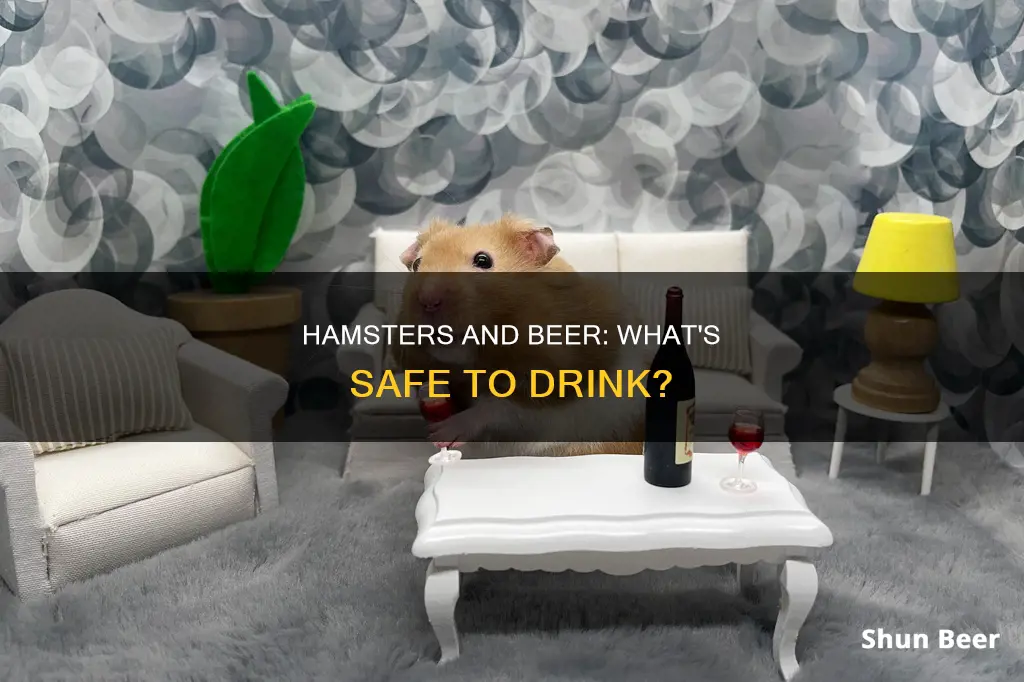 can hamsters drink beer