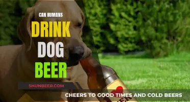 Is Dog Beer Safe for Humans to Drink?