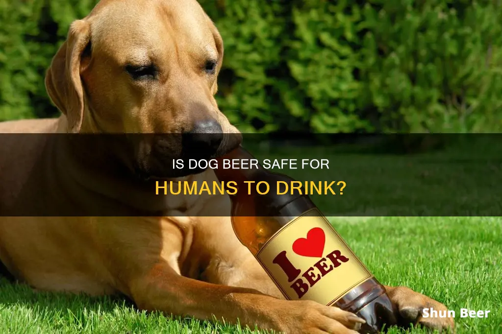 can humans drink dog beer