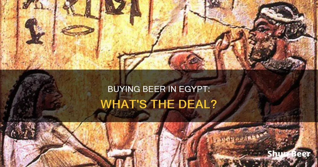 can i buy beer in egypt